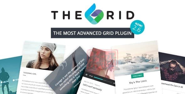 The Grid完美汉化中文版|网格可视化编辑自定义设计高级WordPress插件介绍