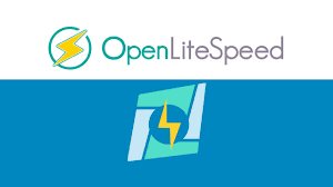 OpenLiteSpeed网站设置CDN后显示真实访客IP图文教程