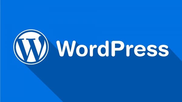 WordPress 6.6.2版本更新 大量BUG修复