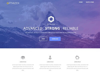 Optimizer PRO 0.8.0汉化中文版|多功能响应式自定义WordPress主题模板
