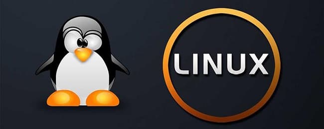 Linus Torvalds推出首个Linux Kernel内核6.1 RC预览版 支持Rust编程语言