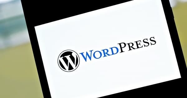 WordPress 5.9之后默认主题的发布可能变得更加频繁