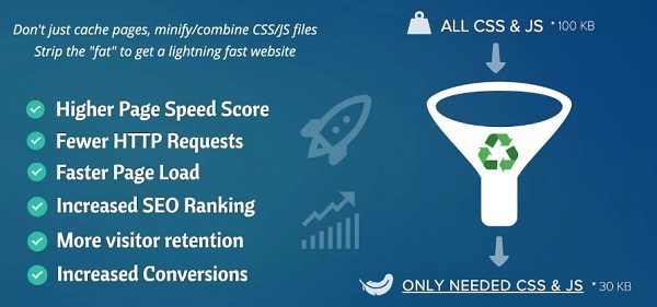 Asset CleanUp Pro 1.2.6.9汉化中文版|网站CSS+JS压缩页面优化加速WordPress插件