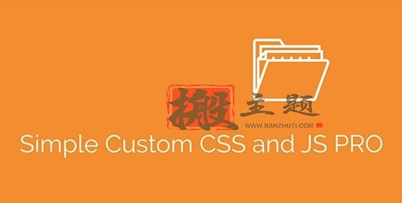 Simple Custom CSS and JS PRO 4.41中文版|简单自定义CSS和JS设计WordPress插件