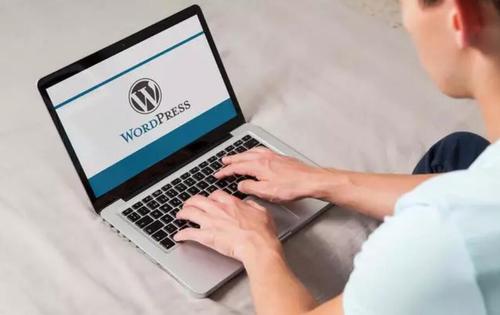 WordPress速度优化教程 让网站加载瞬间秒开