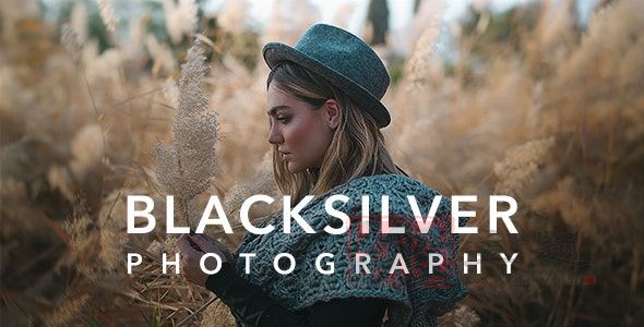 Blacksilver 8.5.8汉化中文版|专业摄影照片展示博客WordPress主题模板