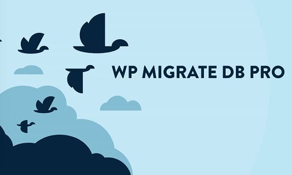 WP Migrate Pro 2.7.7专业版(原WP Migrate DB Pro)|简单一键式迁移备份搬家WordPress插件