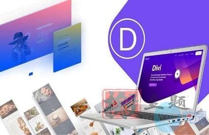 Divi主题汉化中文4.8.2最新版|WordPress最强自定义设计主题模板(含API密钥可更新)