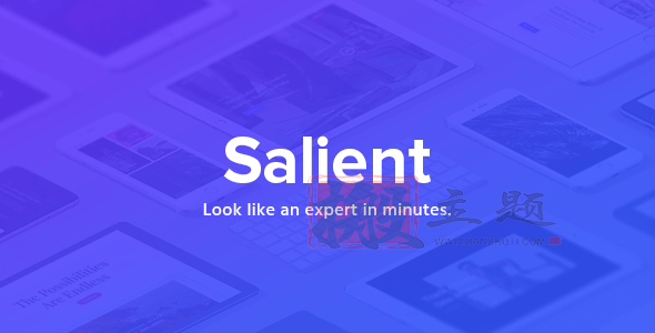 Salient 17.4.1汉化中文版|创意酷炫多功能响应式WordPress企业主题模板