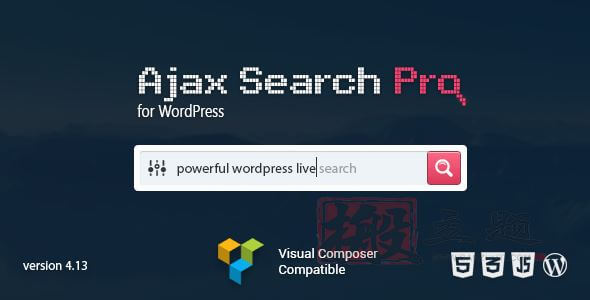 Ajax Search Pro 4.28.1汉化中文版|高效定制化实时WordPress搜索插件