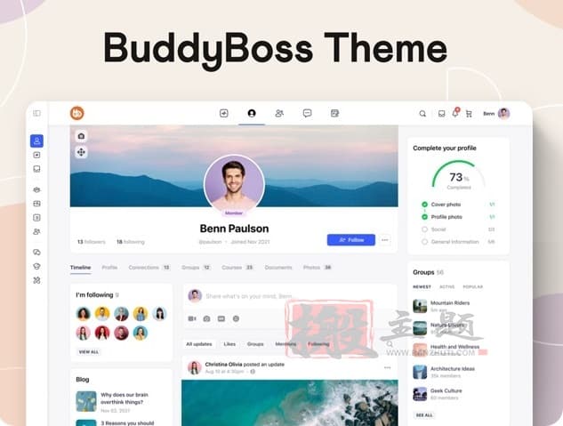 BuddyBoss 2.3.3+Platform Pro 2.3.31完美中文合集|会员资格网课售卖社交论坛WordPress主题