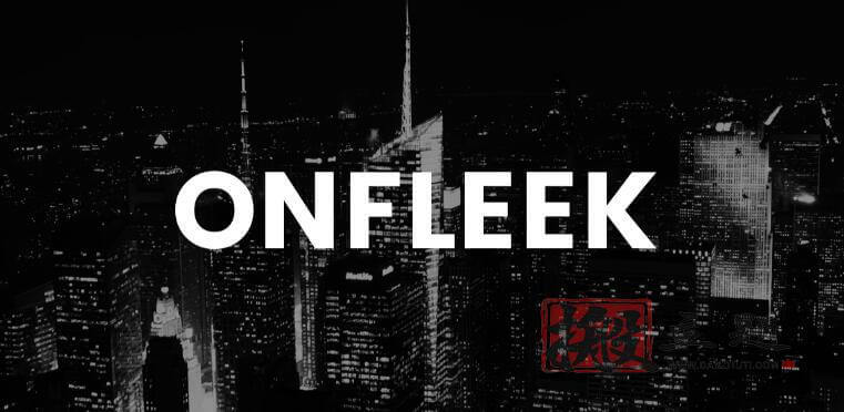 Onfleek 3.1.3汉化中文版|支持AMP的新闻杂志WordPress主题