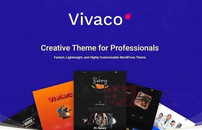 Vivaco 1.8英文专业版|多功能自定义设计轻量WordPress主题
