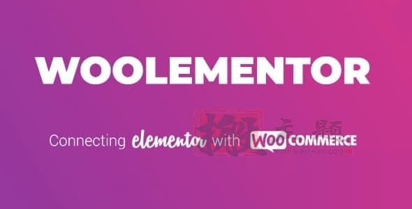 CoDesigner Pro 3.4.6汉化中文版（原Woolementor）|自定义WooCommerce的Elementor扩展小工具插件