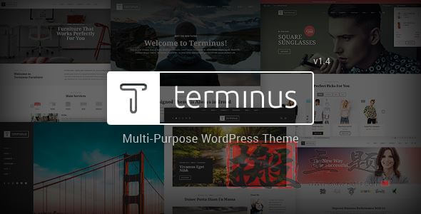 Terminus 1.4.4汉化中文版|多功能创意响应式WordPress主题模板