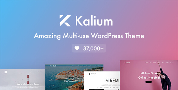 Kalium 3.7英文专业版|自由组合摄影照片图片展示类WordPress主题模板